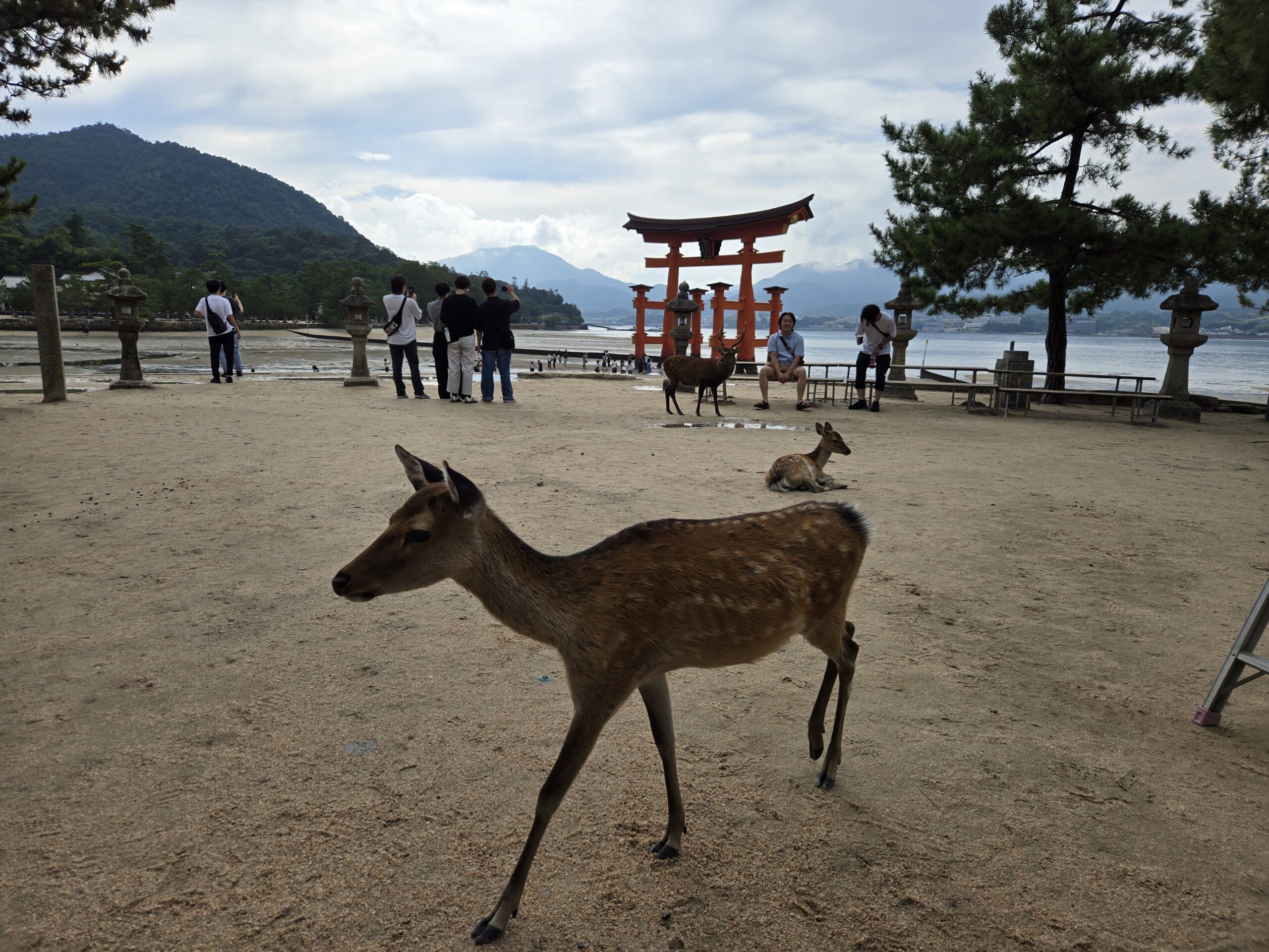 Miyajima